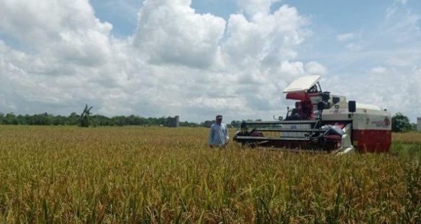 Pertanian Terintegrasi Berbasis Kawasan Solusi Kukar Jadi Lumbung